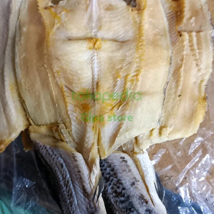 

Ikan Gabus Banjar Besar 500Gr Best Quality Asli 100% Original