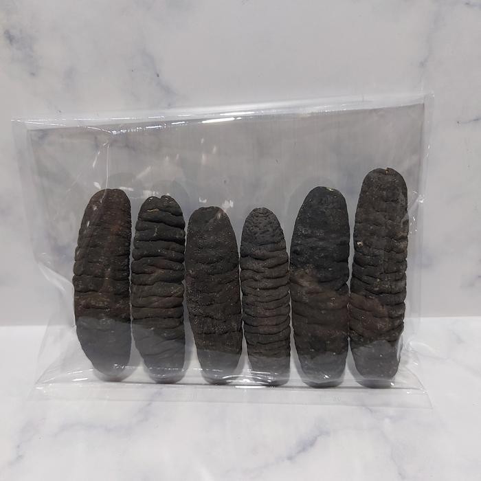 

Haisom Tripang Kering Gosok Asli Belitung 250 Gram Best Quality Asli 100% Original