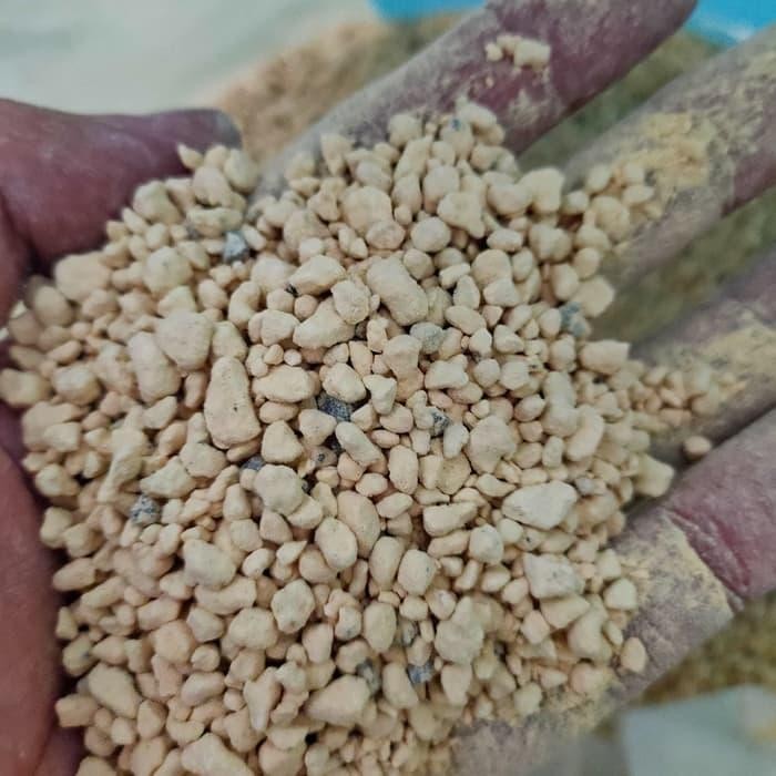 ECERAN Batu Kanuma Pumice apung media tanam kaktus sukulen bonsai