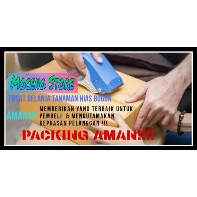 MEDIA tanam organik tanah subur 15 KG / 15 KG pupuk kandang / media
