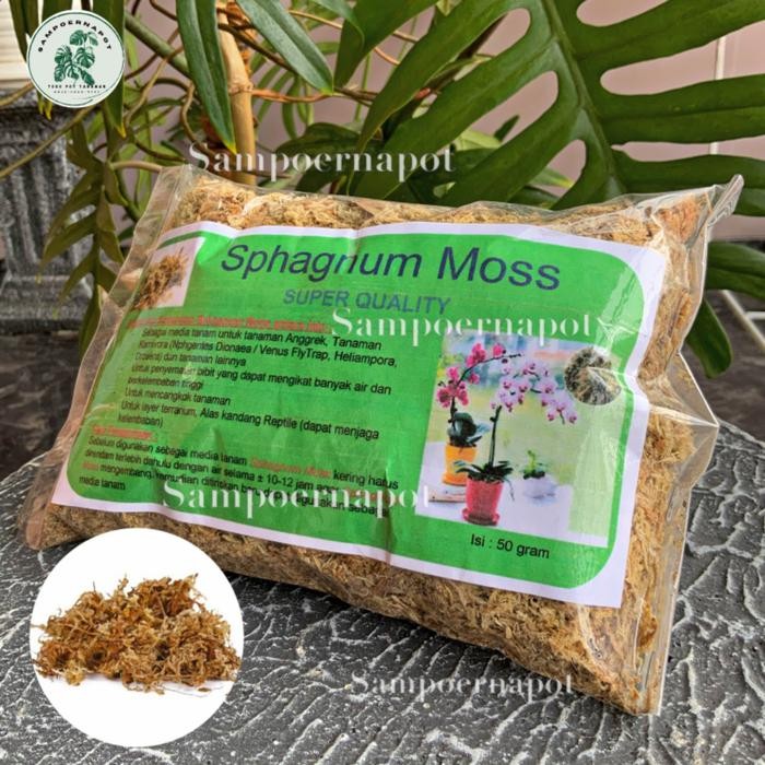 MEDIA TANAMAN BUNGA ANGGREK SPHAGNUM MOSS