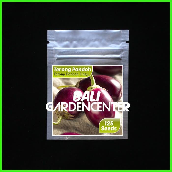 BENIH BIJI TERONG PONDOH UNGU - TERONG PONDOH UNGGUL