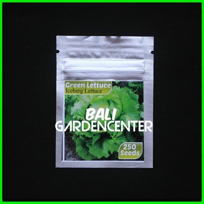BENIH BIJI SELADA ICEBERG - LETTUCE ICEBERG