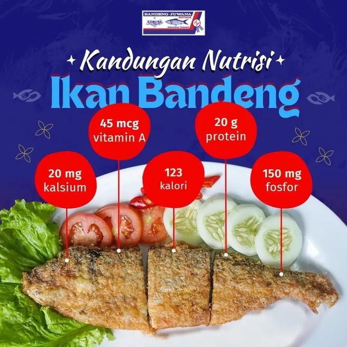 Diskon! Promo Bandeng Presto Juwana Elrina Vacuum Kering 1 Ekor Ikan Bandeng Khas Semarang