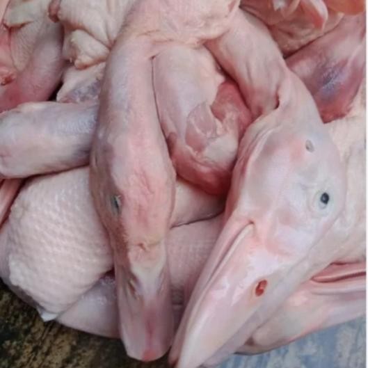 

New Kepala Leher Bebek Segar Fresh fozen 1 Kg 1000 gram. Ready