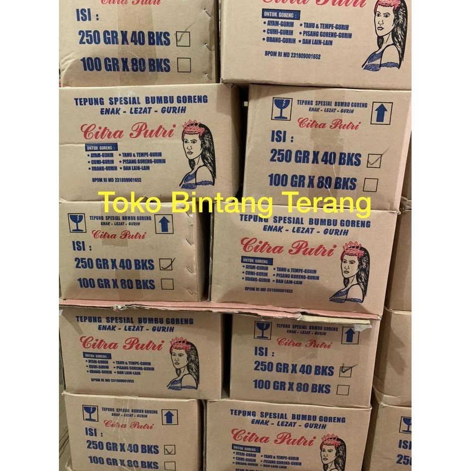

New Tepung Bumbu Serbaguna Citra Putri 250 gr gram x 40 Bks 1 Dus Karton Ready