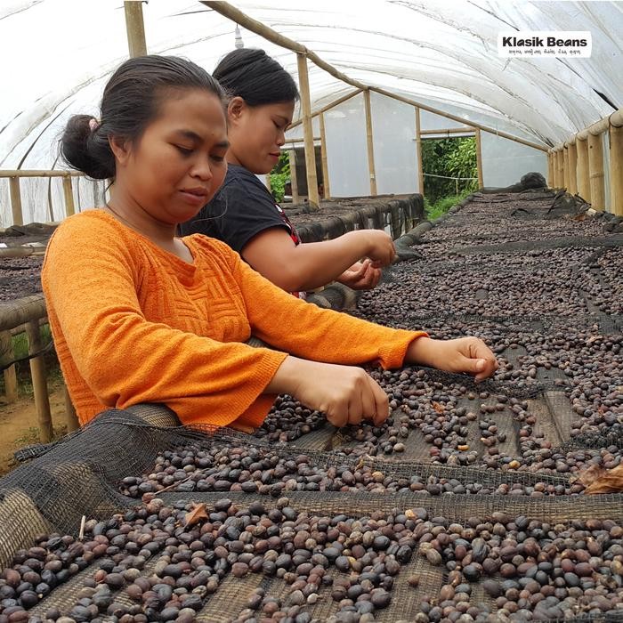 

ARABICA GREEN BEANS - SUNDA AROMANIS KLASIK BEANS
