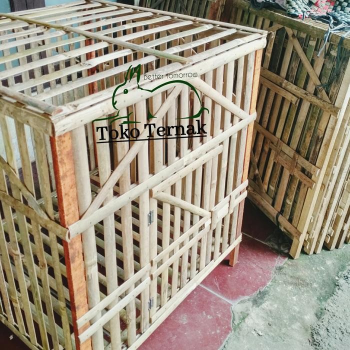 KANDANG AYAM Bambu kandang jago