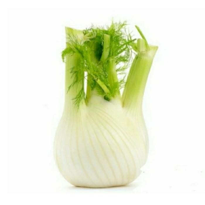 

Fennel australia fresh 600gr