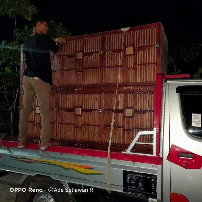 kandang ayam bangkok / jago 6 pintu