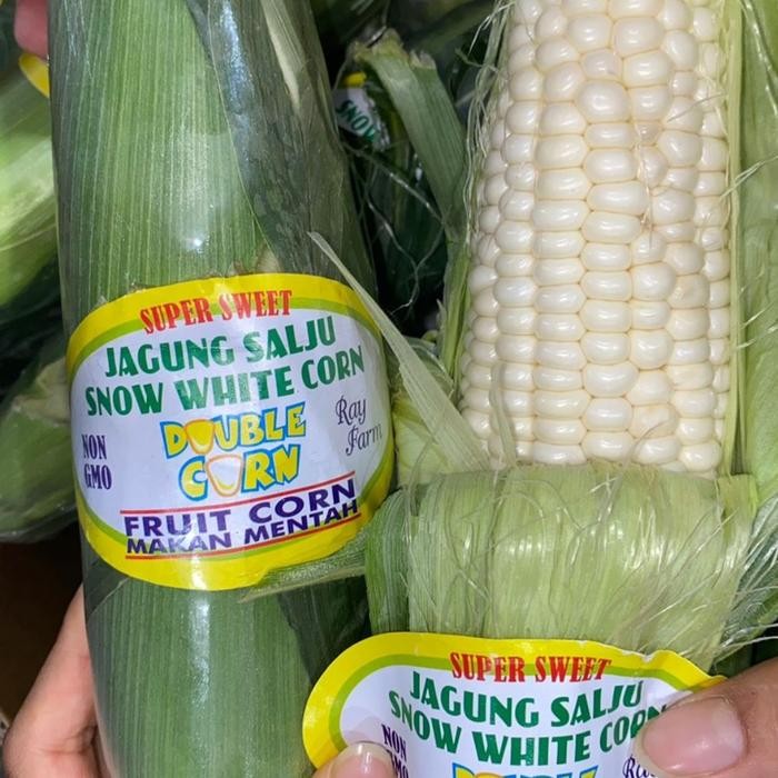 

SIAPKIRIM Jagung Putih Salju Corn Dimakan Mentah Manis / Pcs READY STOCK