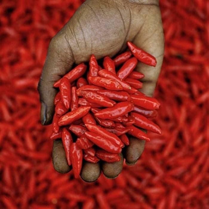 

Tabasco Brand Hot Sauce Set Saus Bumbu Cabe Pedas Import Set Isi 5