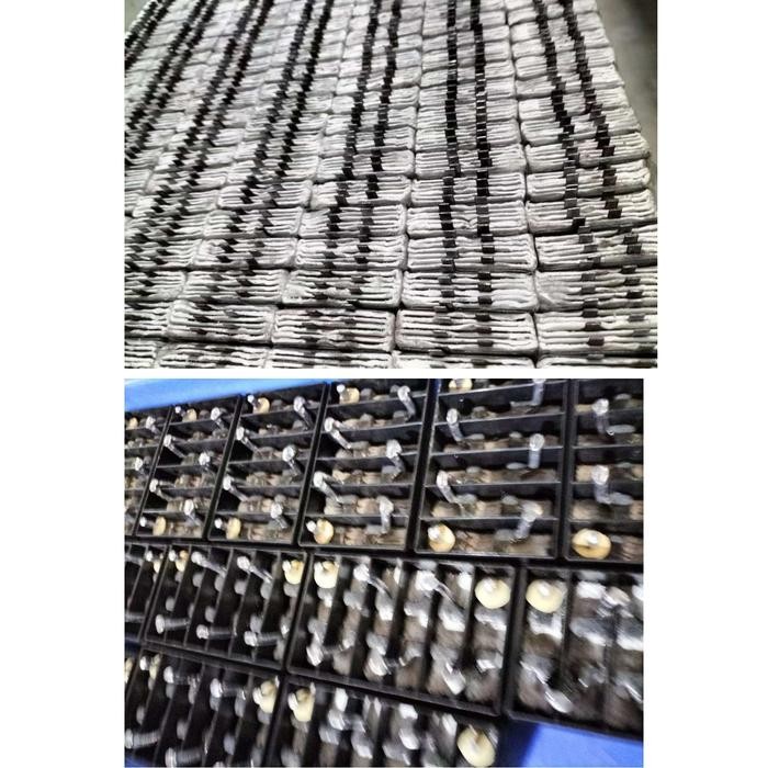 Aki Baole Gm5Z-3B7Ah Original Untuk Vega R,Grand,Dll