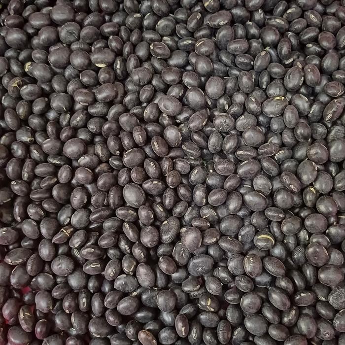 

Baru Kacang Hitam 1Kg / Black Bean Organik Import Terlaris