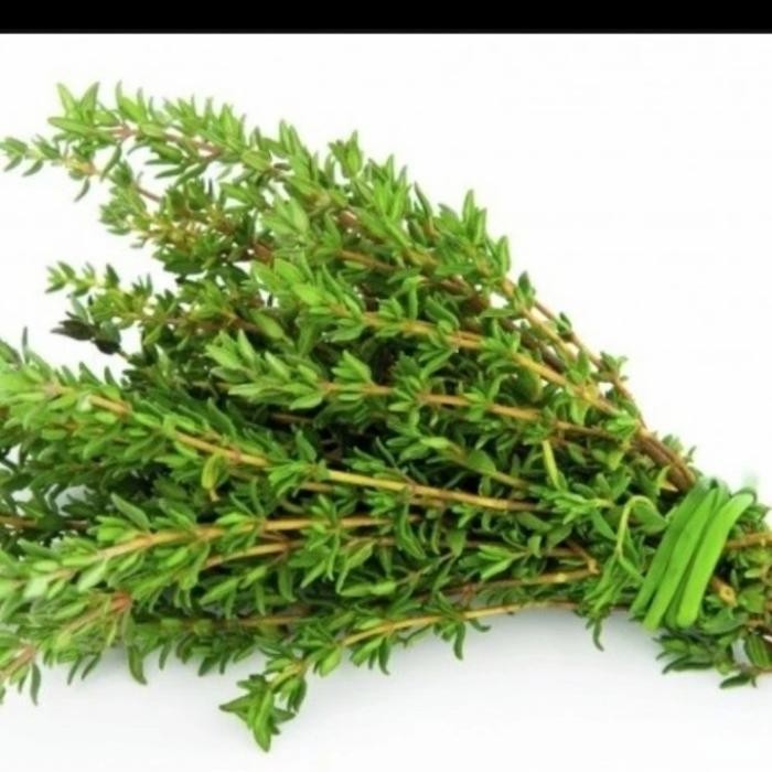 

Baru Thyme Fresh Pack 100gr - Rempah Segar