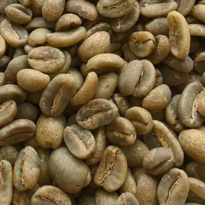 COLOMBIA LA PLANTA GEISHA 25 GREEN BEANS