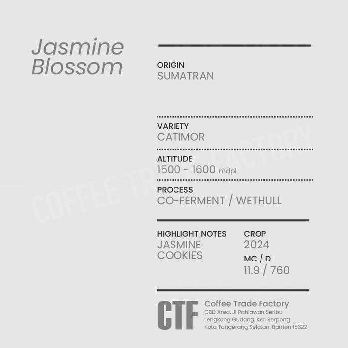 

Green Beans Arabika Taneh Karo Wet Hull Jasmine Blossom / Coffee Trade Factory CTF / Green Bean