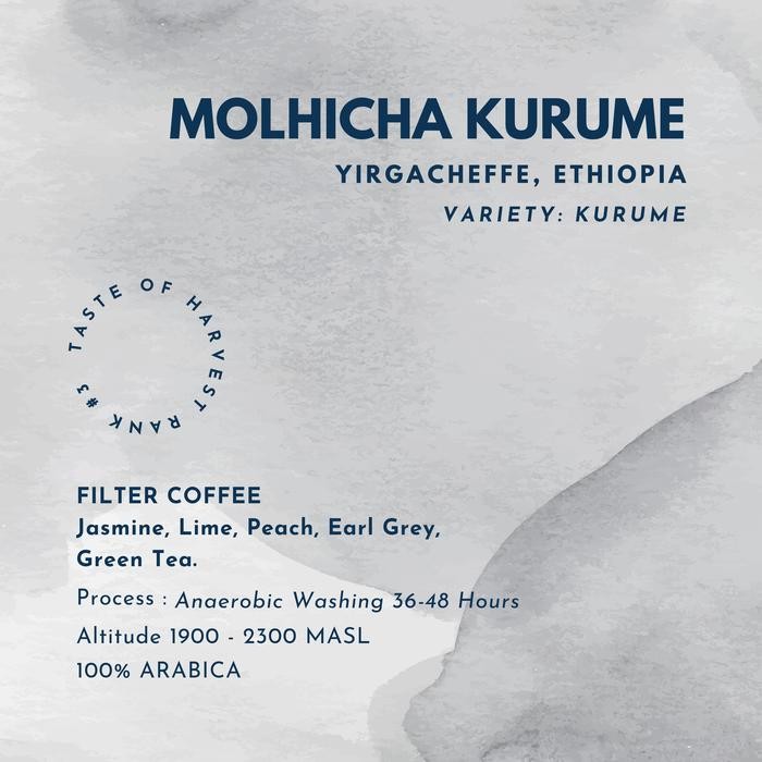 

ETHIOPIA MOLHICHA KURUME COFFEE SPECIALTY ARABICA TASTE OF HARVEST RANK #3