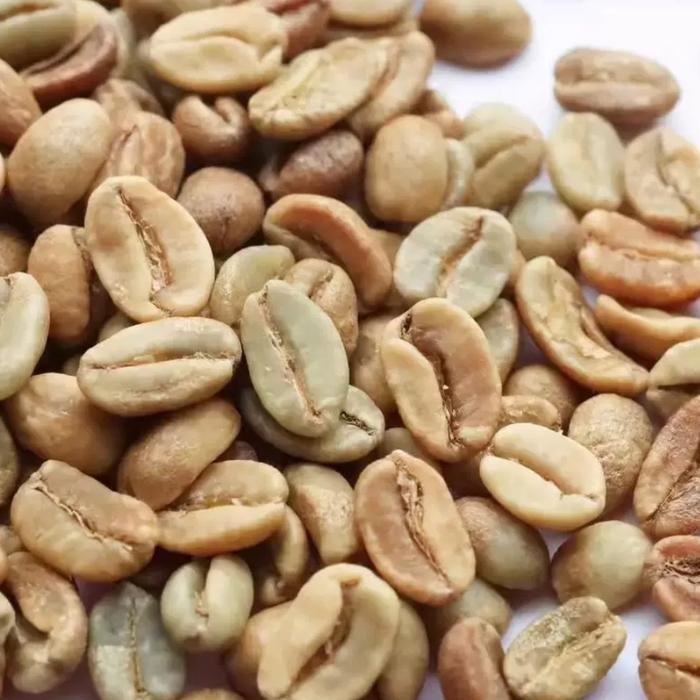 

COLOMBIA EL DIVISO OMBLIGON 24 GREEN BEANS