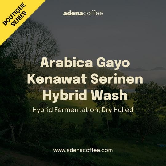 

Boutique Series - Green Bean Arabica Gayo Kenawat Serinen Hybrid Wash 1kg