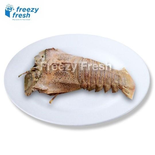 

lobster udang kipas segar beku 1kg stok terbatas