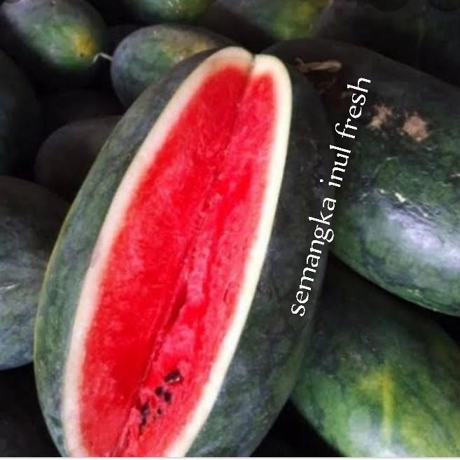 

NATURE- Semangka Inul Fresh Manis 2-3Kg