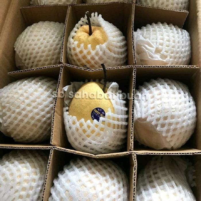 

NATURE- Swett Pear / Pir Madu Manis