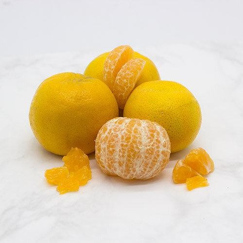 

NATURE- Jeruk Keprok Conventional 1 Kg 1 Kg Sayurbox