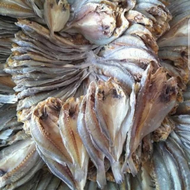 

Siap Kirim Ikan Asin Samge - Gurih Khas, Kering Bersih Cocok Sambal & Lauk