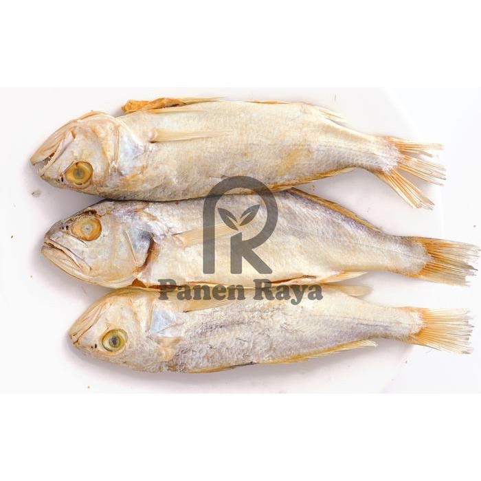 

Siap Kirim Ikan Asin Sileman Pasuruan 500gr - Kualitas Super Shopee