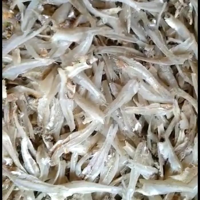 

Siap Kirim Ikan Asin Teri Daging Belah 1kg - Seafood Premium