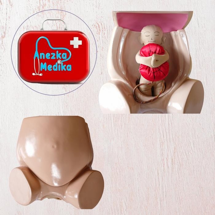 

MANIKIN PANGGUL PERSALINAN FIBER / PANGGUL PERSALINAN