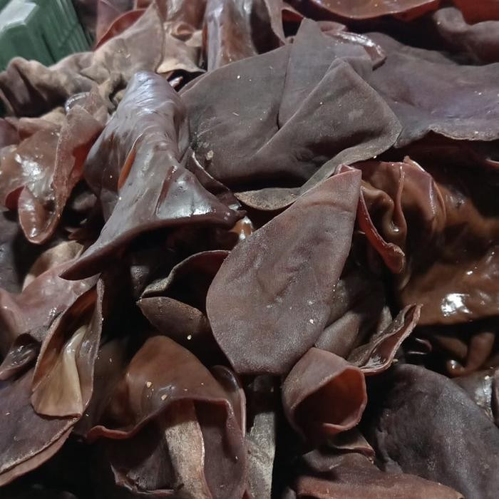 

LUXEHEALTH- Jamur Kuping Segar 1 Kg