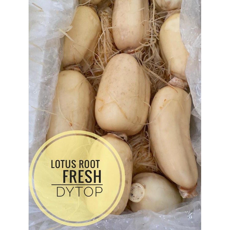 

LUXEHEALTH- Lotus Root Akar Teratai Import Fresh Segar - 1 Kg