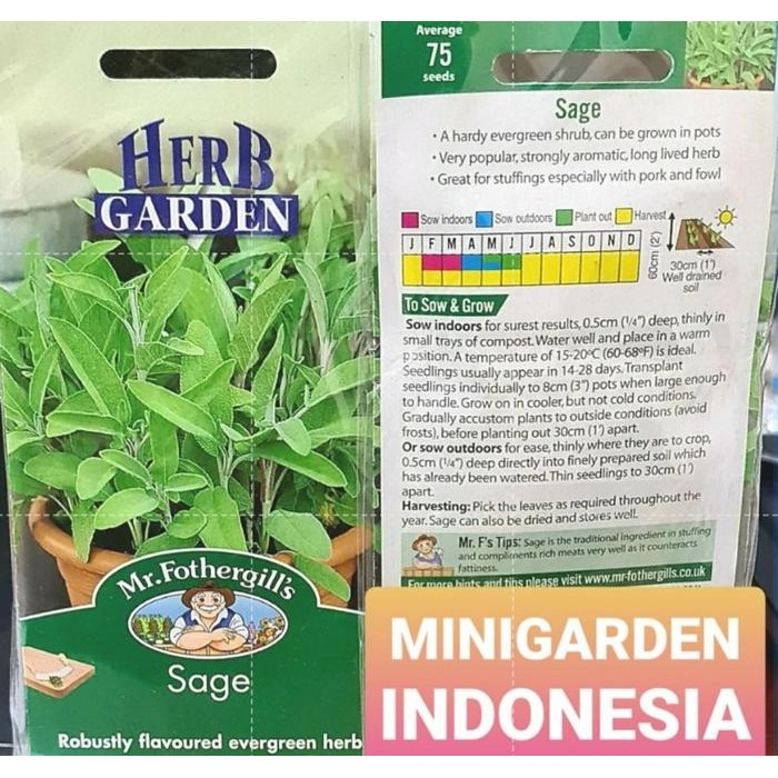 BENIH SAGE Mr Fothergills - BENIH SAGE - BIBIT SAGE - BENIH FOTHERGILL