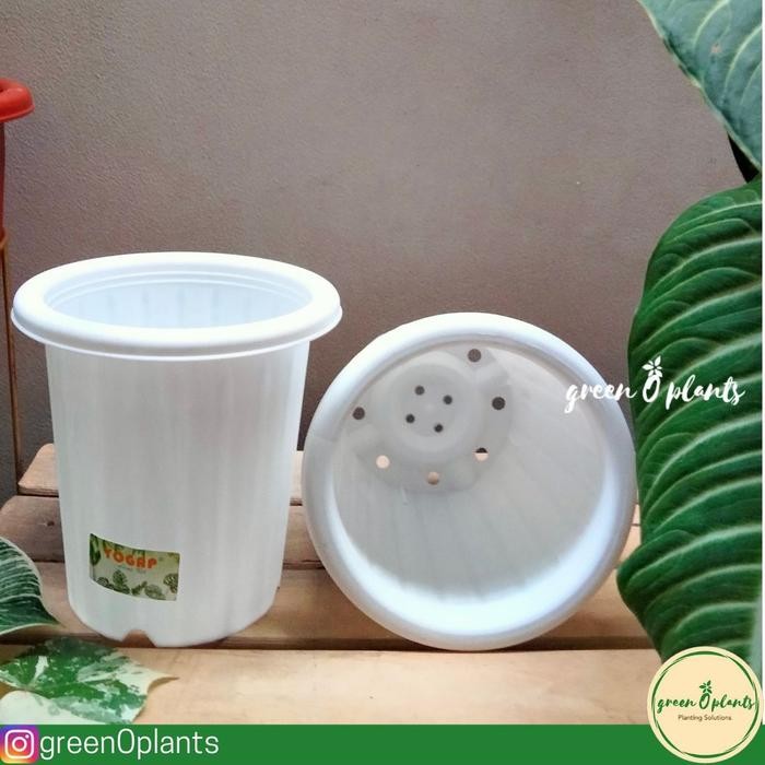 Grosir Pot Yogap YPT 13 Putih Lusinan