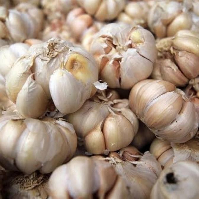 

Pilihan- Bawang Putih