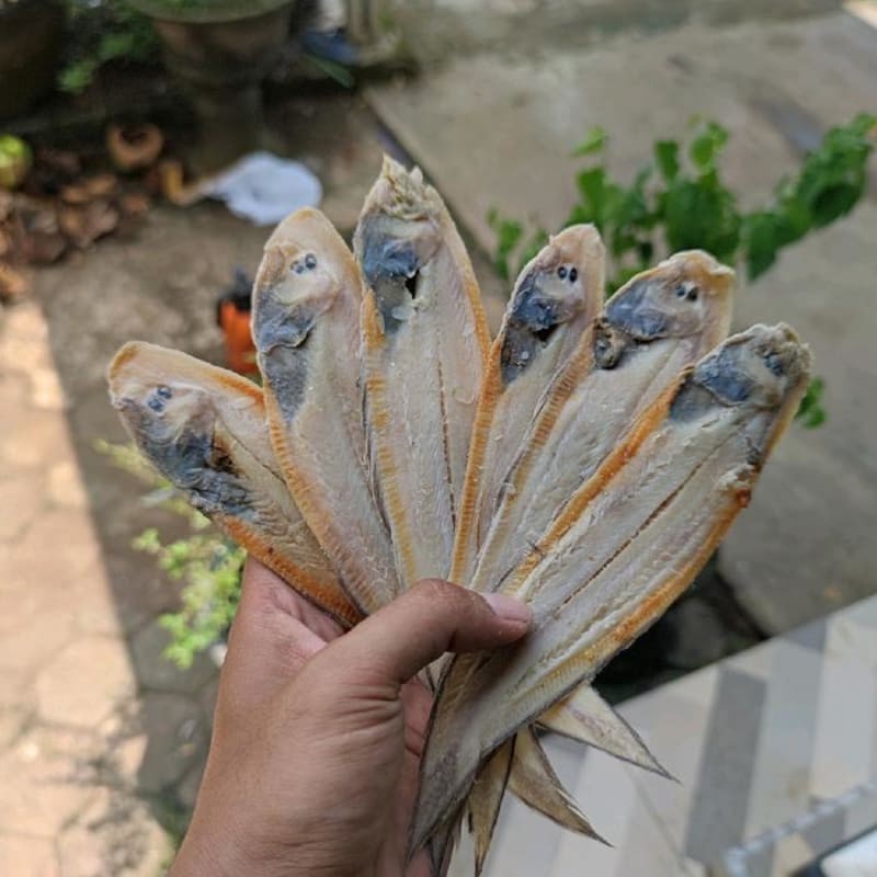 

Ikan Asin Lidah/Sebelah 250gr
