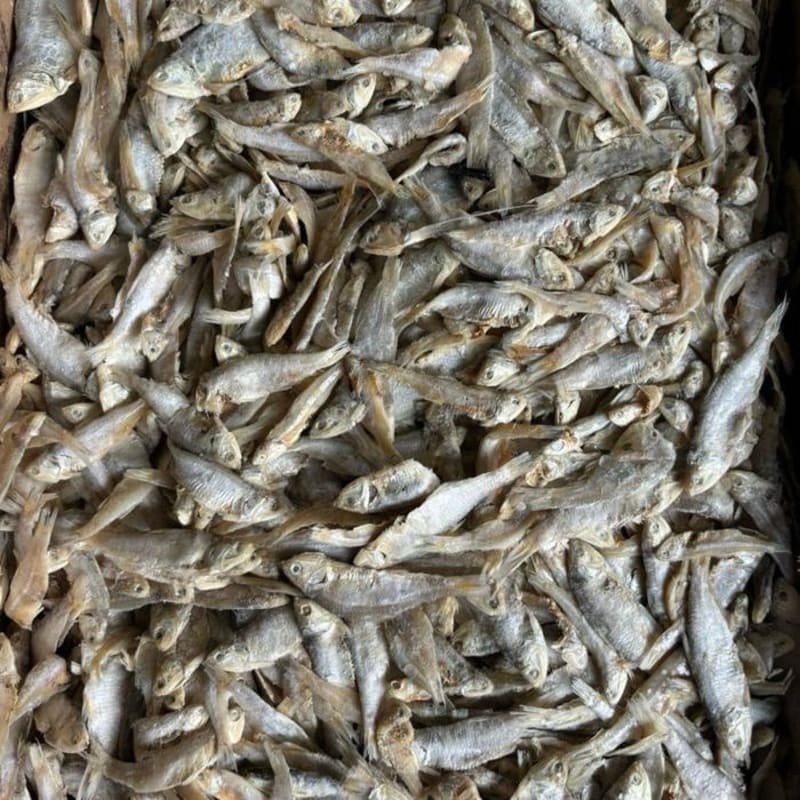 

IKAN ASIN SAMPAH/CAMPUR COP 500gr