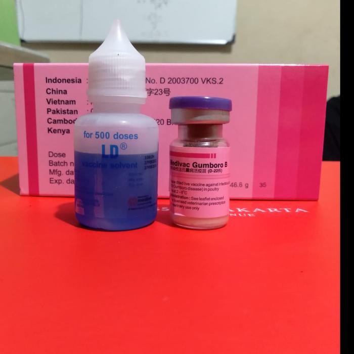 Vaksin Gumboro B Dosis 500 Mencegah Penyakit Gumboro pada ayam