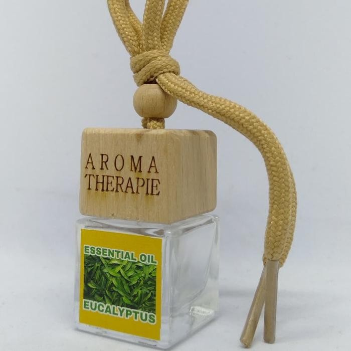 Parfum Mobil Essential Oil Eucalyptus Aroma Therapy Grab/Gosend