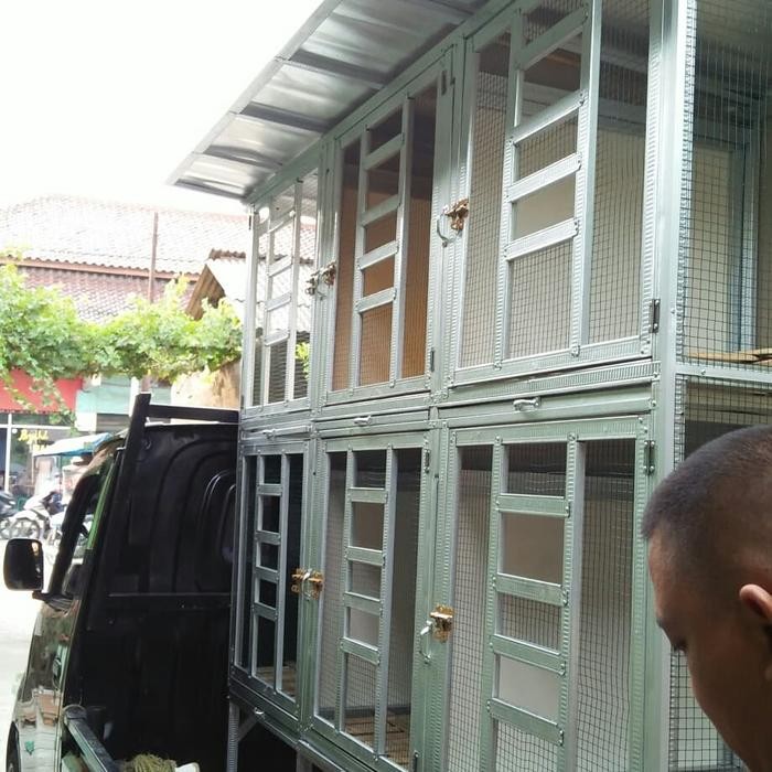 kandang ayam bangkok/ayam pelung/ayam hias