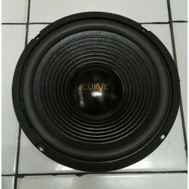 SPEAKER CURVE 10 INCH