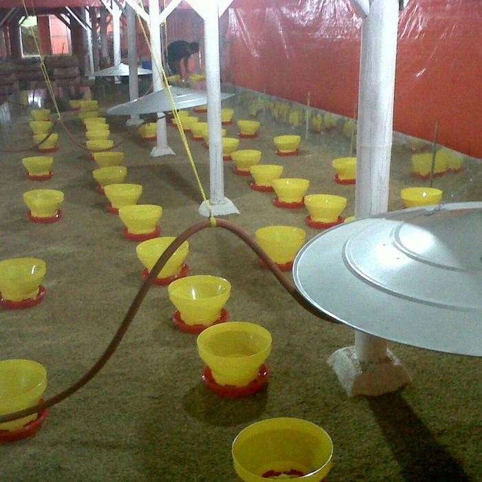 pemanas semawar gas / pemanas DOC DOD / pemanas ayam broiler / gasolec