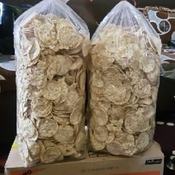 

(Expert) sagu tempe original