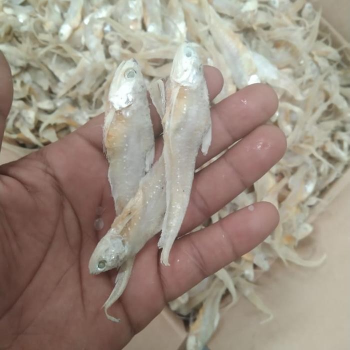 

Ikan Asin Bulu Ayam 500Gr/Ikan Asin Bulu Ayam 1Kg
