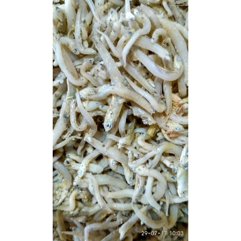 

Ikan Asin Teri Medan Teri Nasi 1/4 Kg