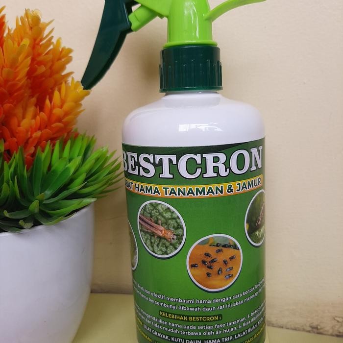 sukam Bestcron 500ml obat Pembasmi Hama Ulat,Belalang,Jamur Dan Kutu Putih