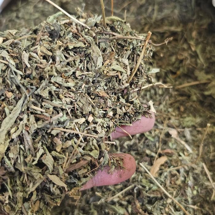 

PREMIUM Daun Stevia Kering 100gr / 500gr - Stevia Leaves - Pemanis Alami