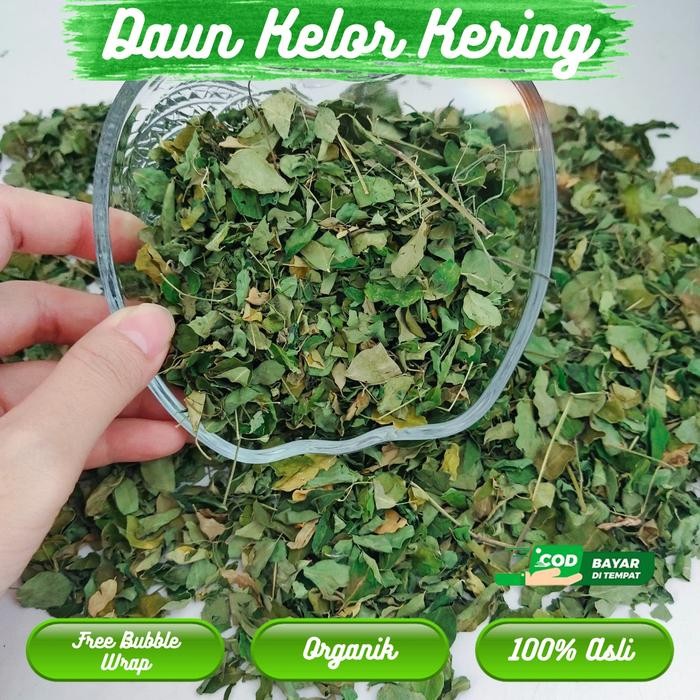 

PREMIUM daun kelor kering murni original